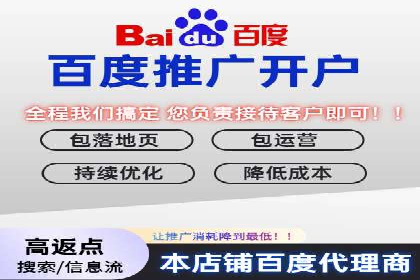 某电商平台的SEM服务全解析